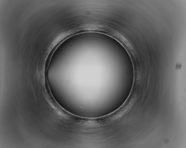 X0000098110986200804041339