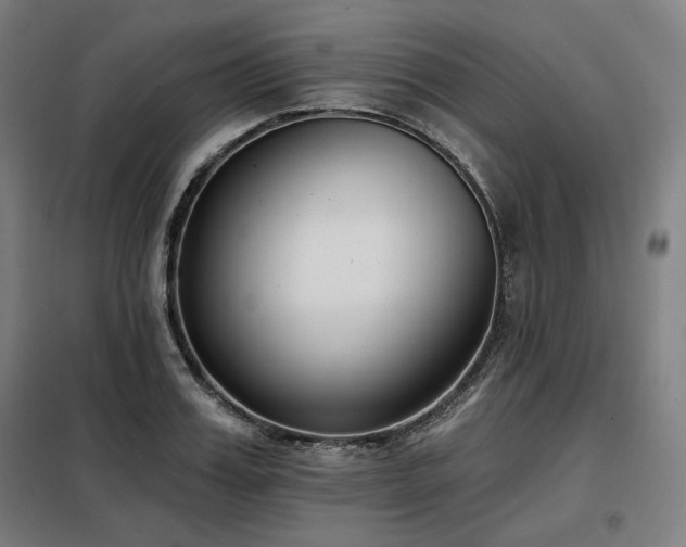 X0000098110987200804041339