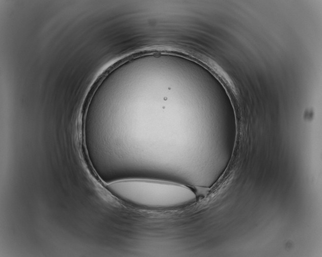 X0000098110988200804041339