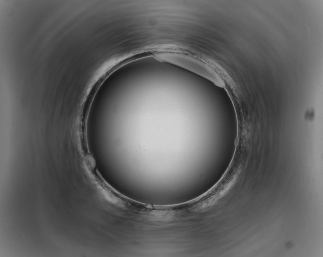 X0000098110989200804041339