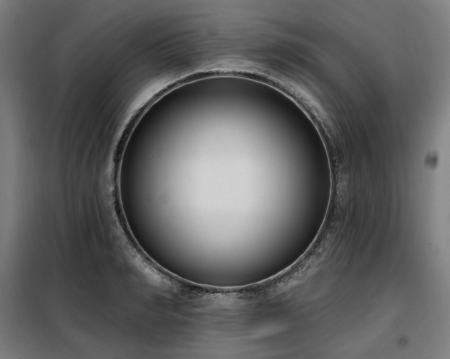 X0000098110990200804041339