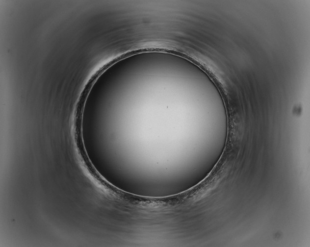 X0000098110991200804041339