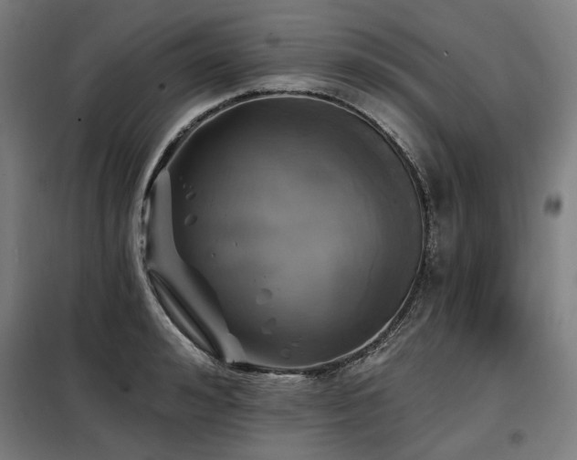 X0000098110992200804041339