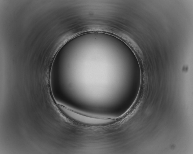 X0000098110993200804041339