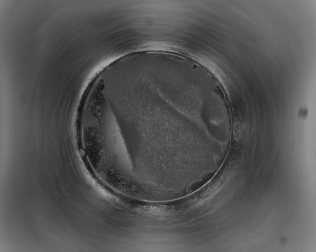 X0000098110995200804041339