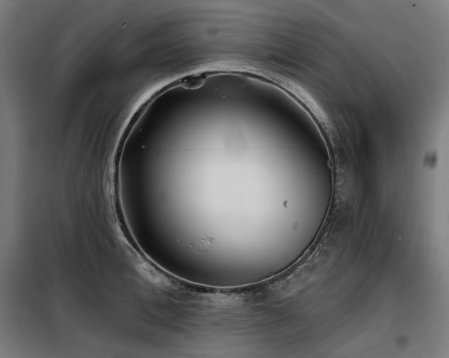 X0000098110996200804041339