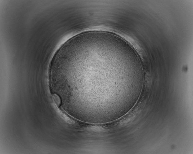 X0000098110998200804041339