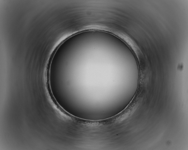 X0000098110999200804041339
