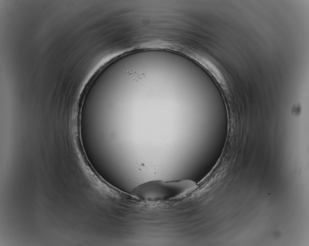 X0000098111000200804041339