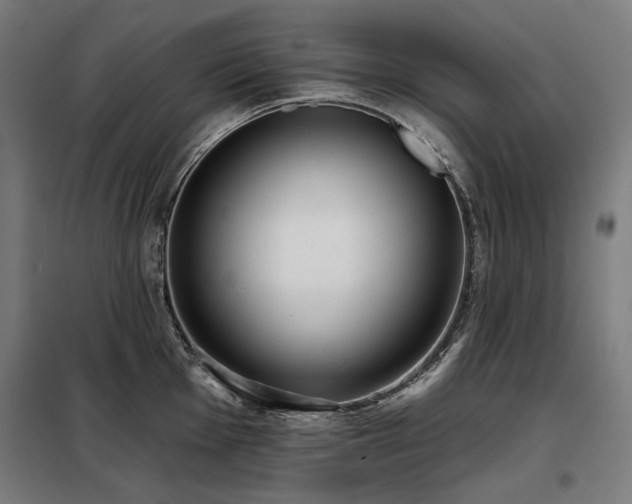 X0000098111001200804041339
