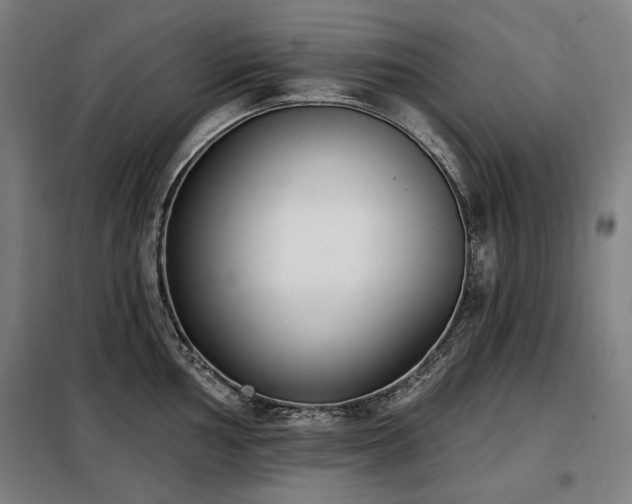 X0000098111002200804041339