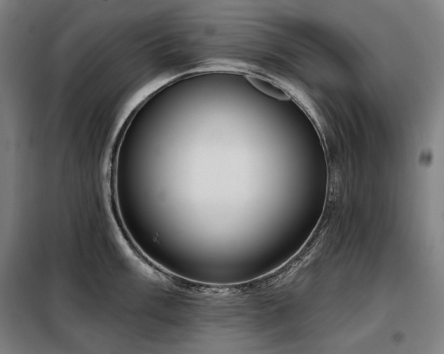 X0000098111003200804041339