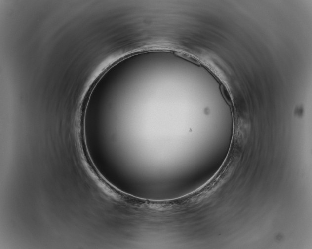 X0000098111005200804041339