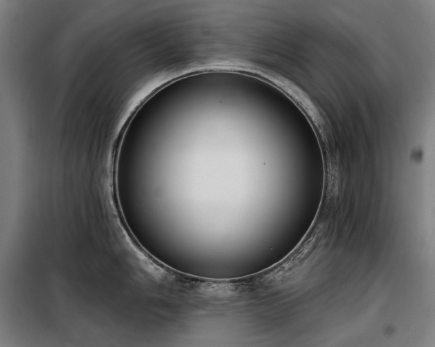 X0000098111006200804041339