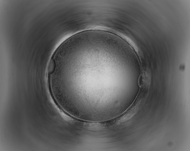 X0000098111007200804041339
