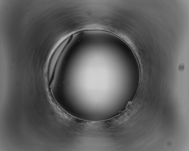 X0000098111008200804041339