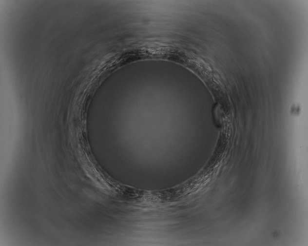 X0000098111009200804041338