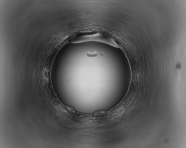 X0000098111010200804041338