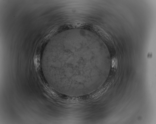 X0000098111011200804041338