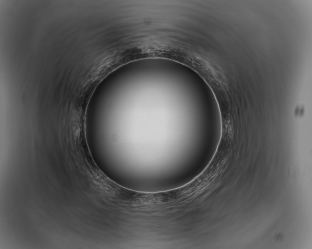 X0000098111012200804041338