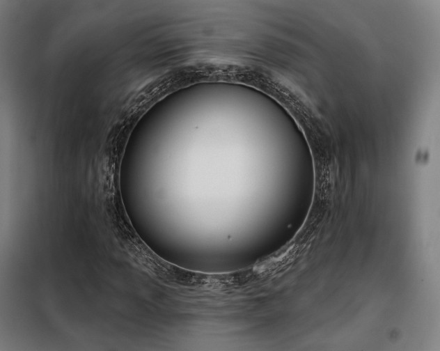 X0000098111013200804041338
