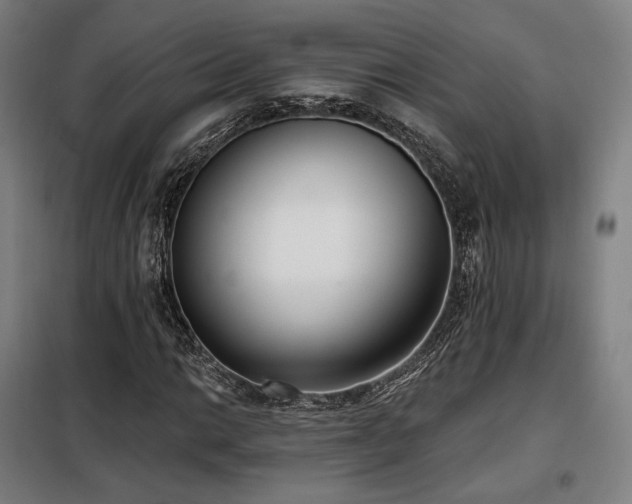 X0000098111014200804041338