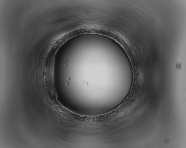 X0000098111016200804041338