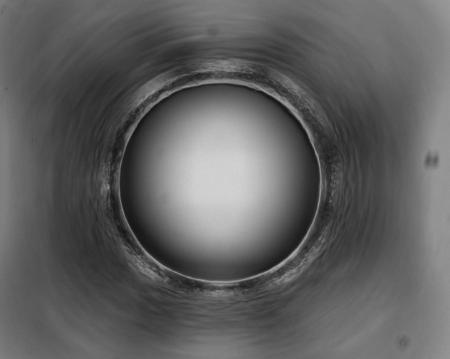 X0000098111017200804041338