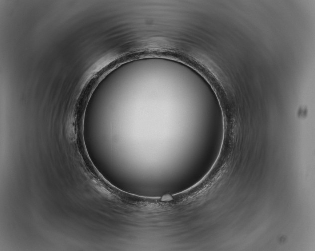 X0000098111018200804041338