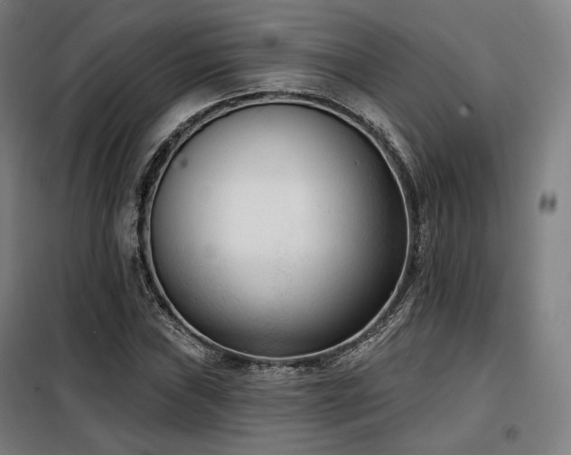 X0000098111019200804041338