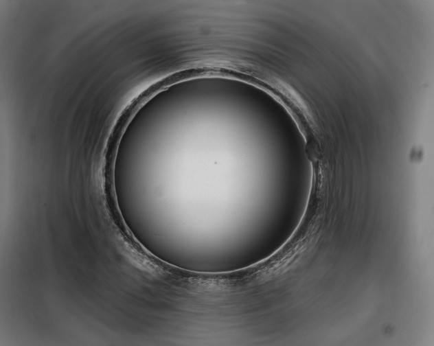 X0000098111020200804041339