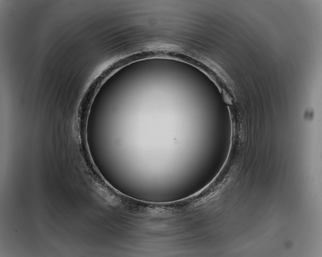 X0000098111022200804041339
