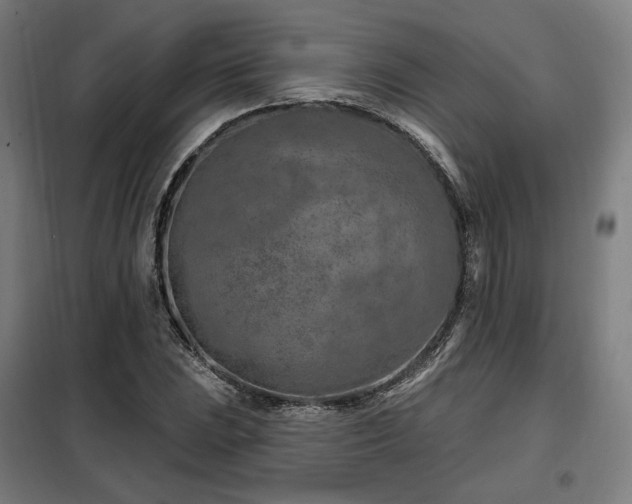 X0000098111023200804041339