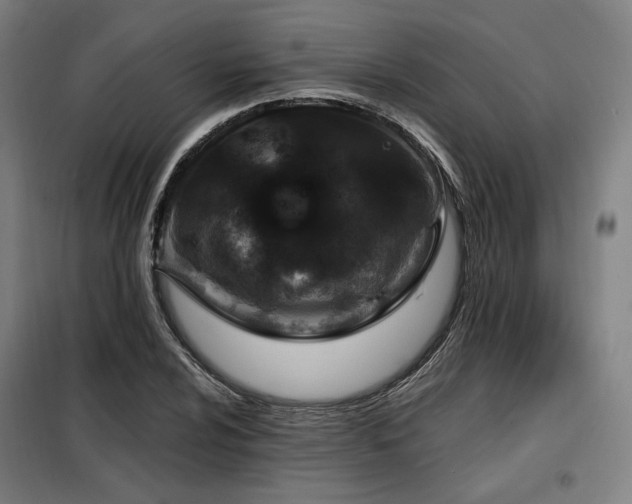 X0000098111024200804041339