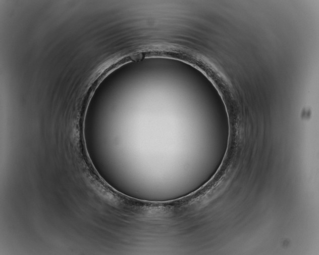 X0000098111025200804041339