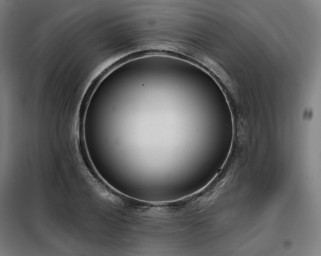 X0000098111028200804041339