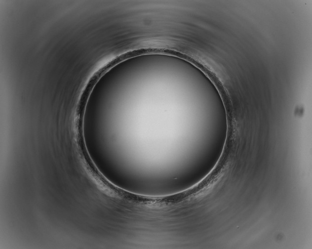 X0000098111029200804041339