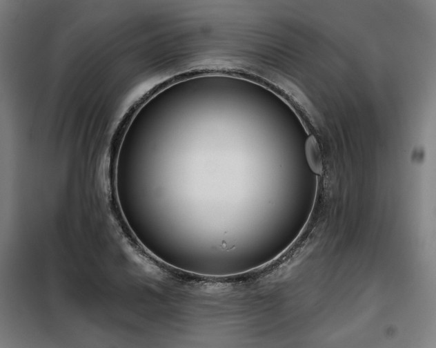 X0000098111030200804041339