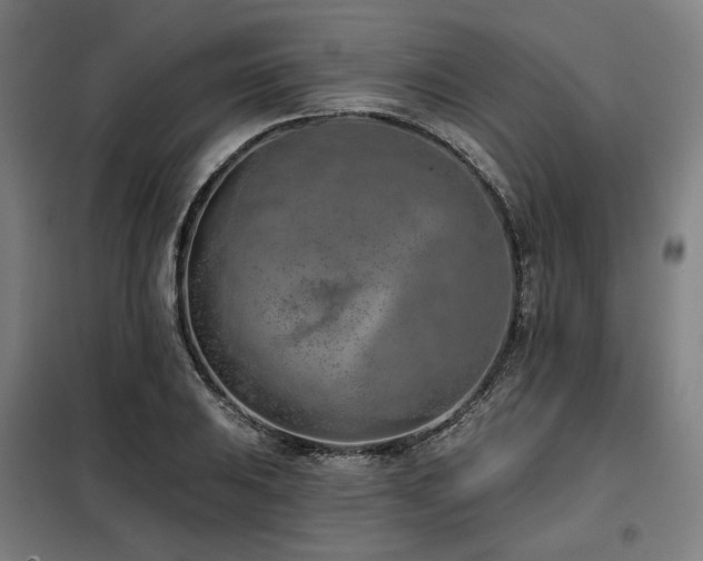 X0000098111031200804041339