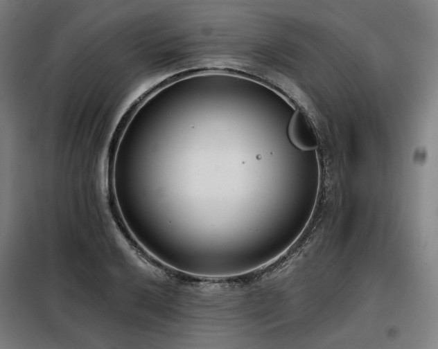 X0000098111032200804041339
