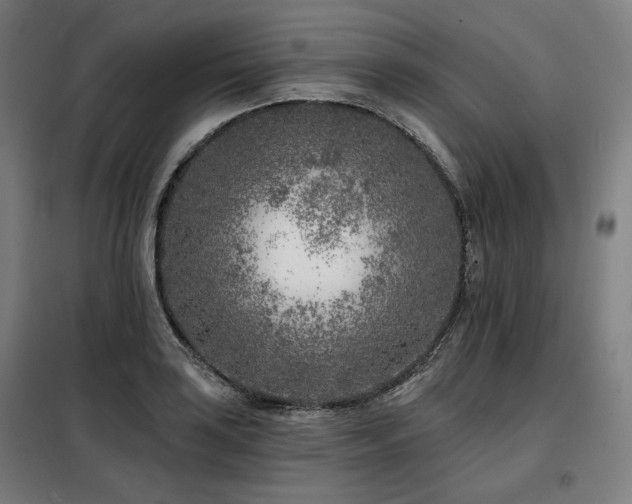 X0000098111035200804041339