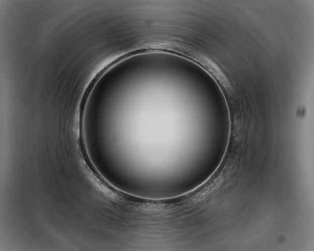 X0000098111036200804041339