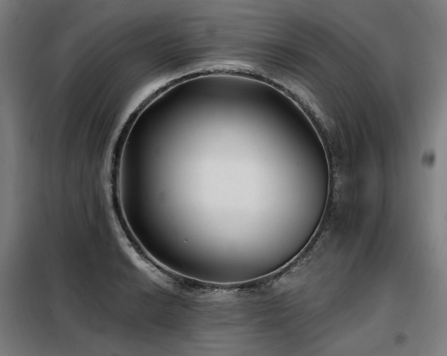 X0000098111038200804041339