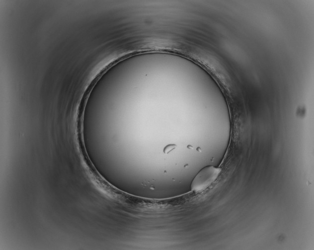 X0000098111039200804041339