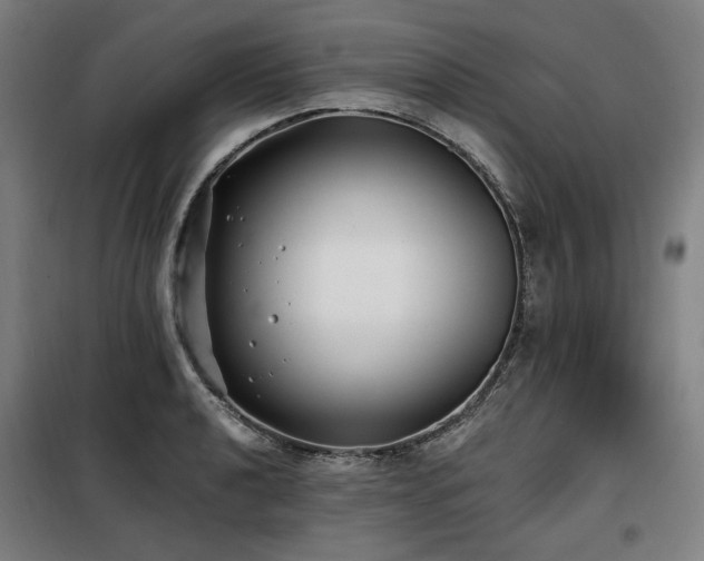 X0000098111040200804041339