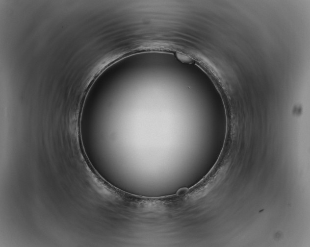 X0000098111041200804041339