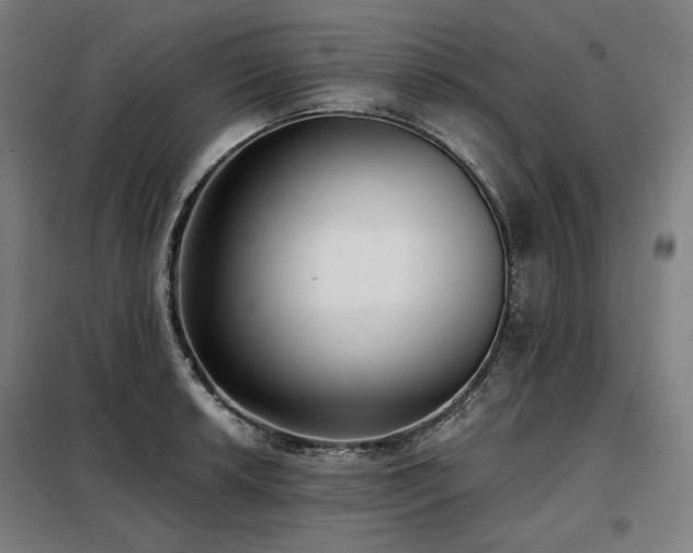 X0000098111042200804041339
