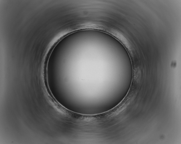 X0000098111043200804041339