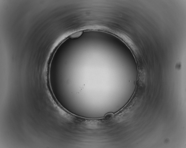 X0000098111046200804041339