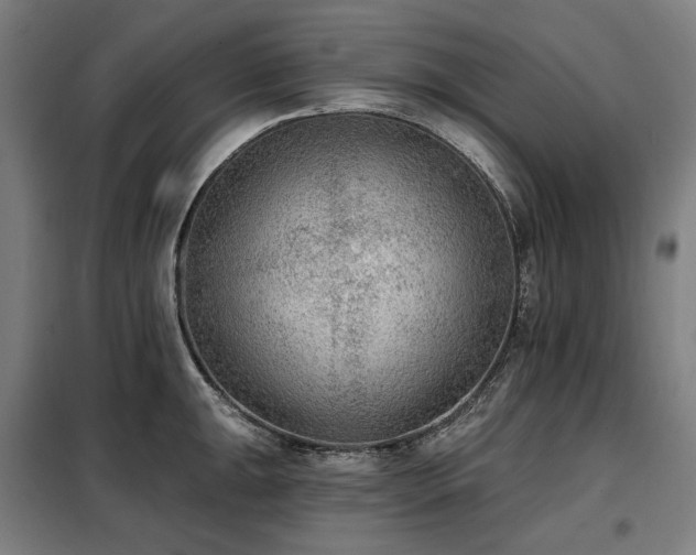 X0000098111047200804041339